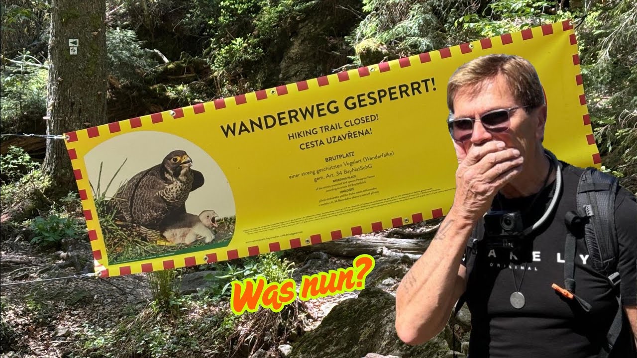 Wandern durch das Höllbachgespreng auf den Falkenstein