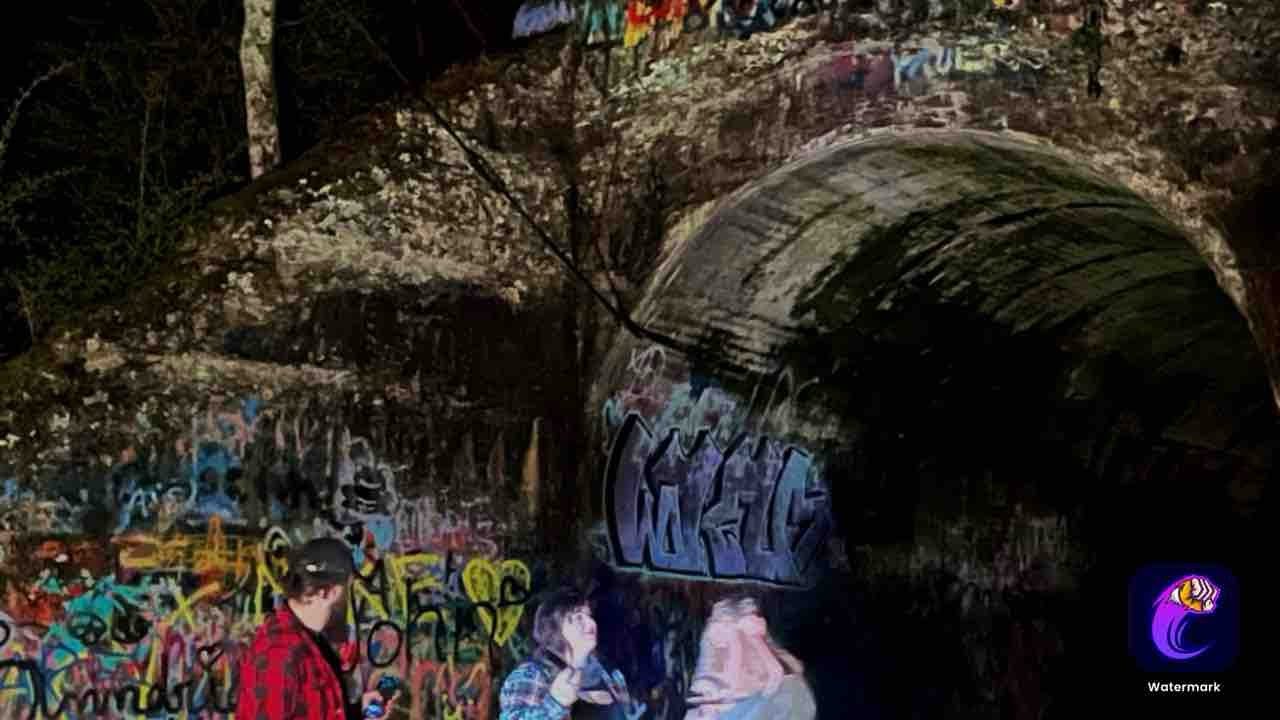 Что-то кричало из леса… (Исследование туннеля Сенсабо)