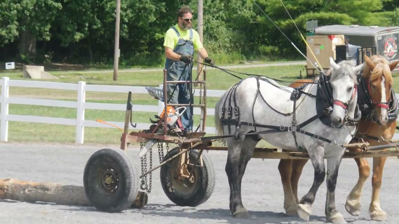 Penn State's 2022 Ag Progress Days. Pulling horse demonstration