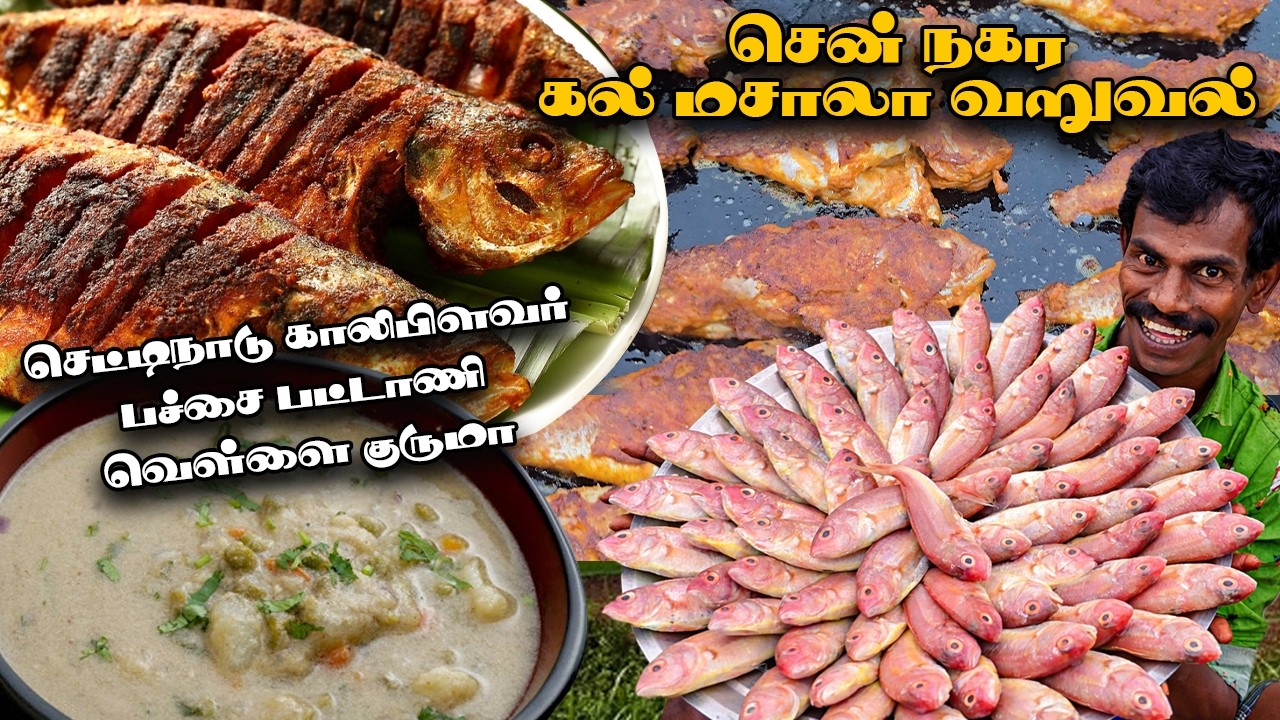 சென் நகர மீன் ( RED MULLET ) கல் மசாலா வறுவல் 🤩 செட்டிநாடு ஸ்பெஷல் வெள்ளை குருமா- Delicious Fish Fry