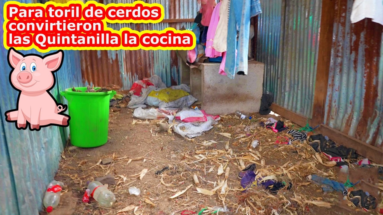 Que decepción para toril de cerdo sirvió la cocina de las Quintanilla - Ediciones Mendoza