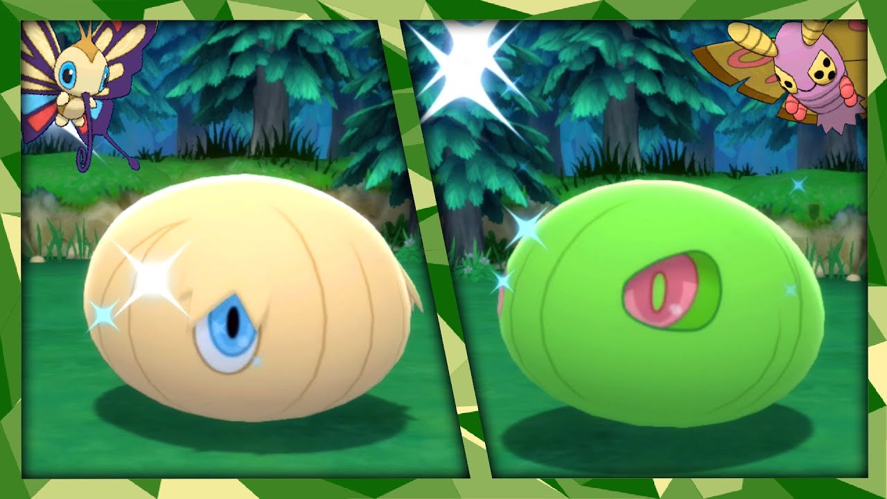 [LIVE] Shiny Silcoon & Cascoon in the BDSP Eterna Forest!!