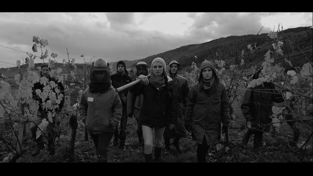 VitiColmarien - 7 JERO - Julie Dominical . Reprise Titi Parisien REMIX - Rap vigneron