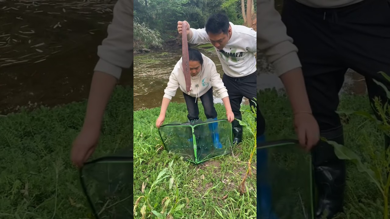 चीन वालों का मछली पकड़ने का नया तरीका 🤯#fishing #tricks