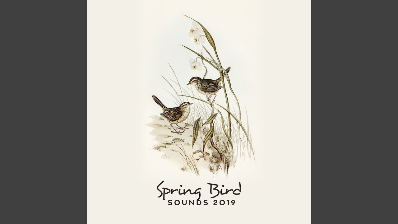 Spring Dreams