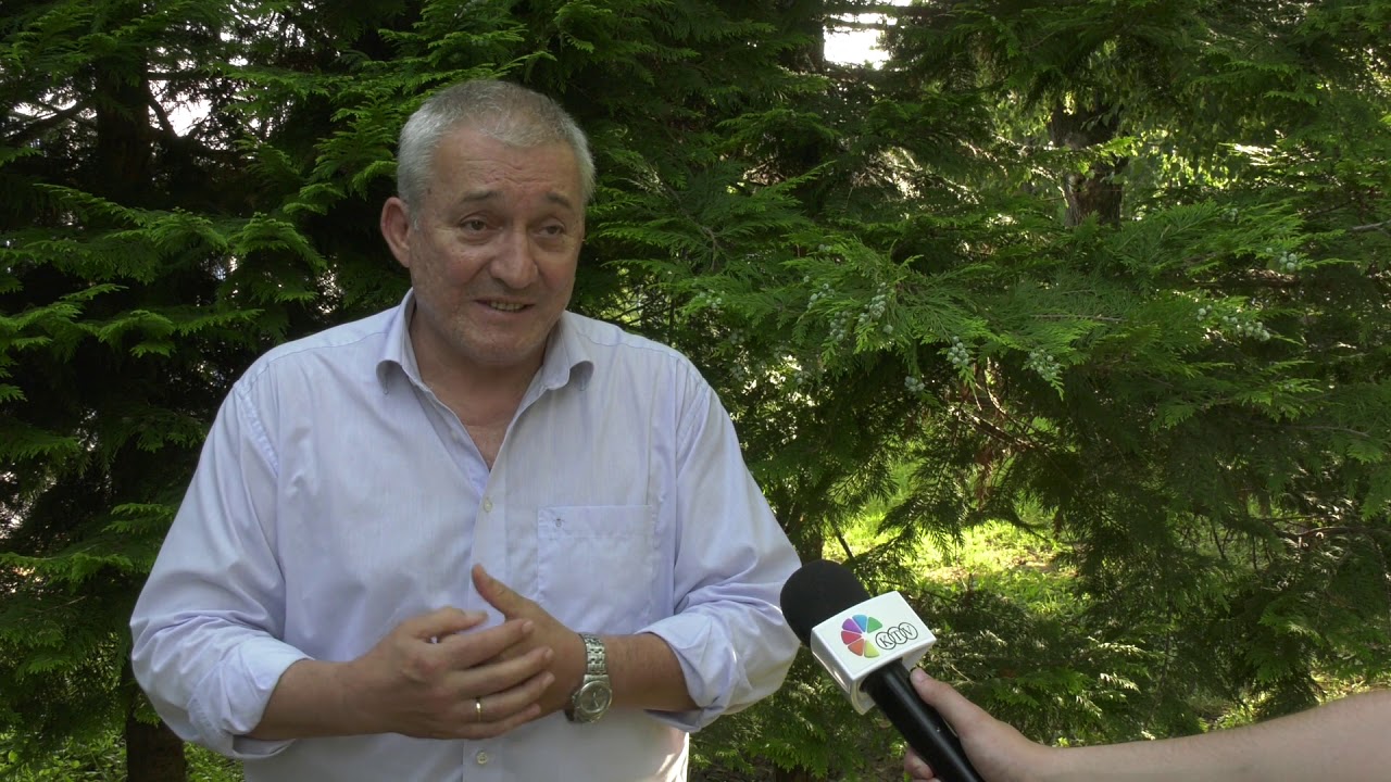 Zoran Ostojić o istupu Ivice Dačića u Ujedinjenim nacijama