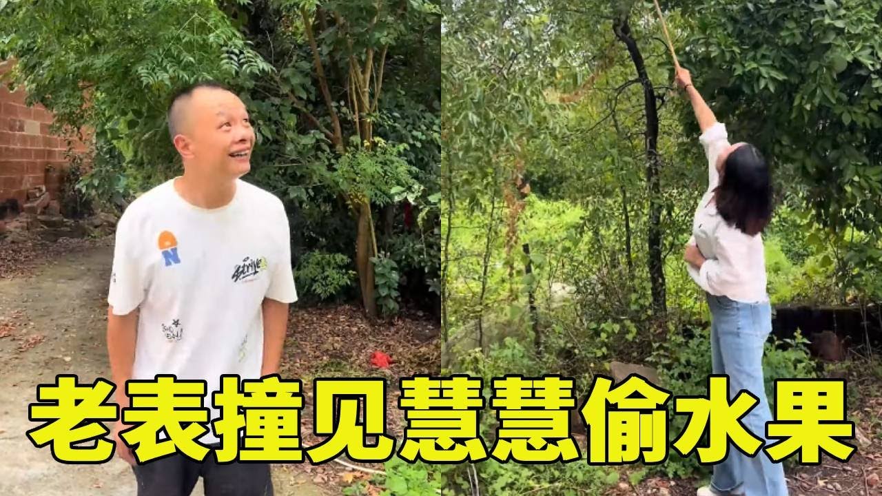 老表撞见慧慧偷水果，没想到被慧慧骗，替她背了黑锅#搞笑视频 #天上掉馅饼地上有陷阱 😂😂