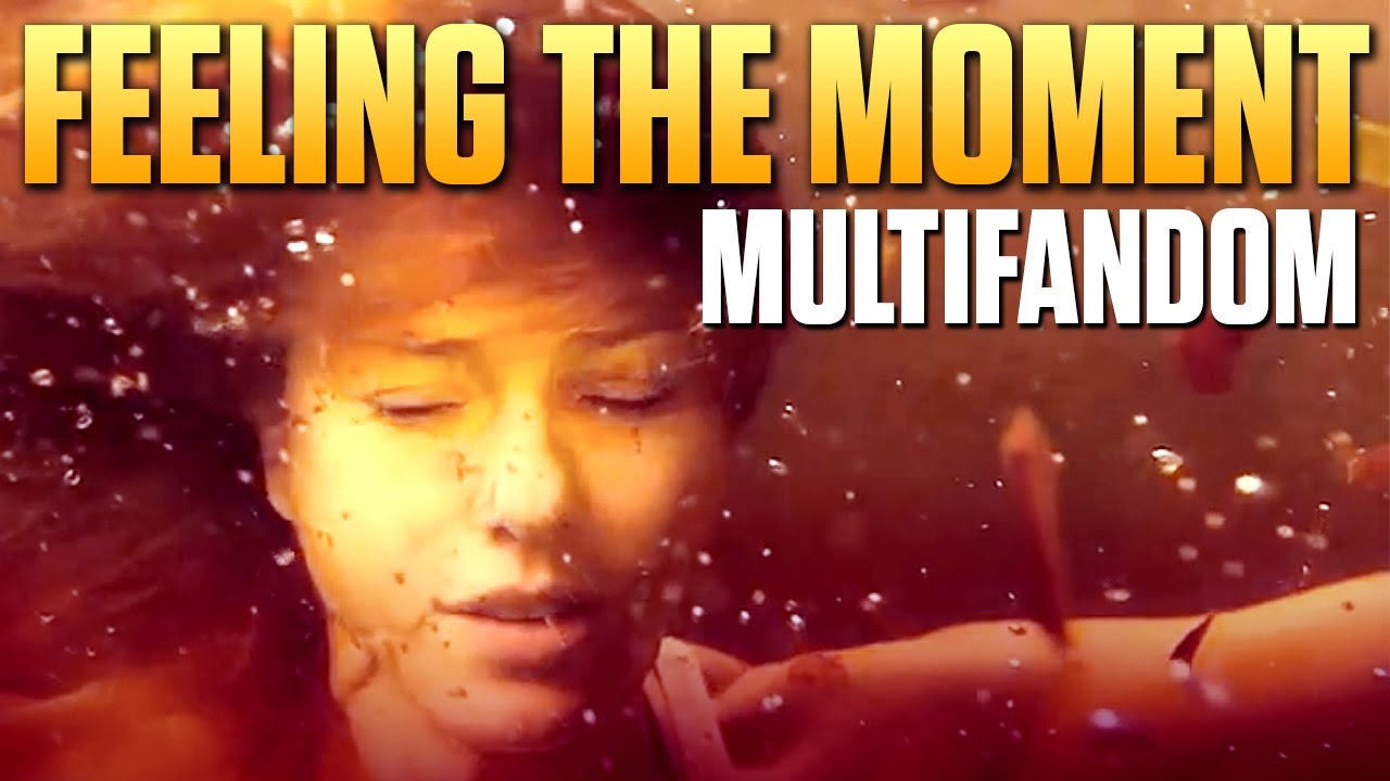 Multifandom || Feeling the Moment (collab w/ djcprod)