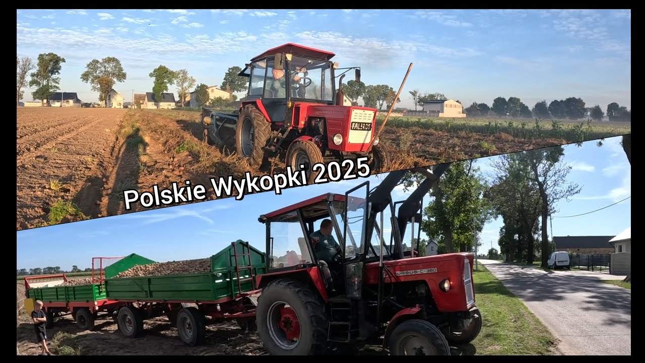 Polskie Wykopki Ziemniaka 2025 - Władimirec T25 Z Kopaczką!? - Ursus C-360 VS Autosanka & Rozrzutnik