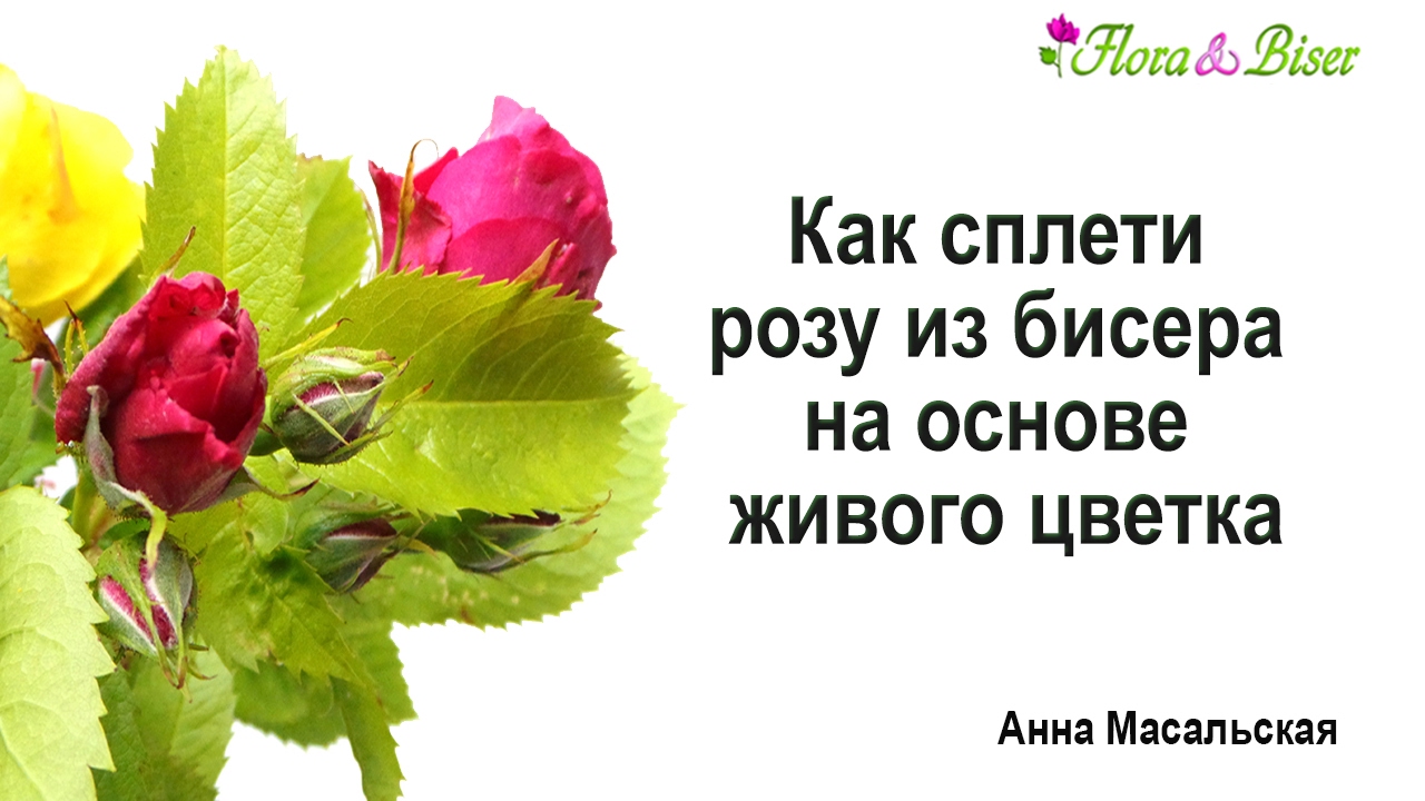 Как сплести розу из бисера на основе живого цветка