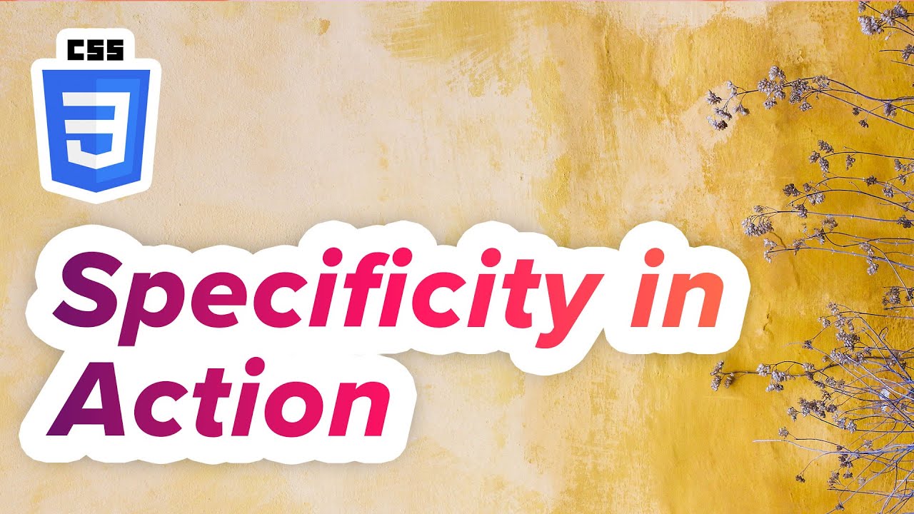 Step by Step: CSS Specificity in Action