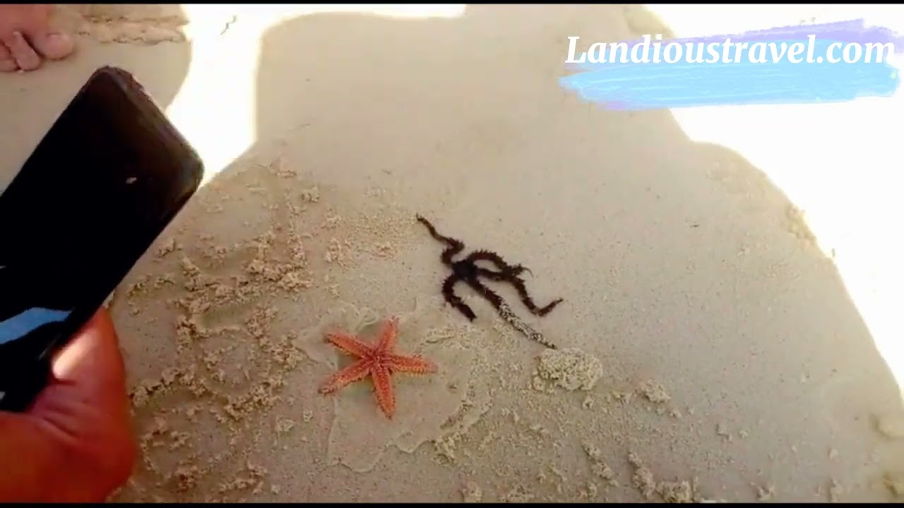 Super Utopia Excursion Hurghada