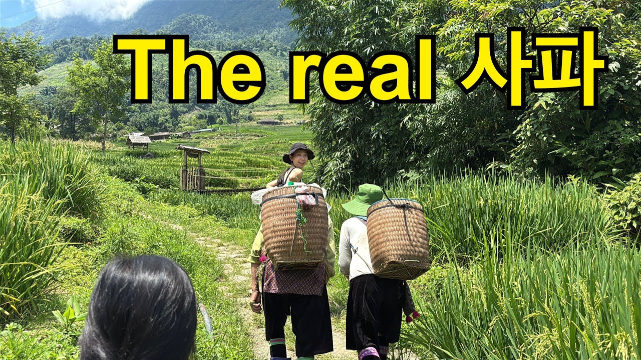4일차 사파의 모든 것