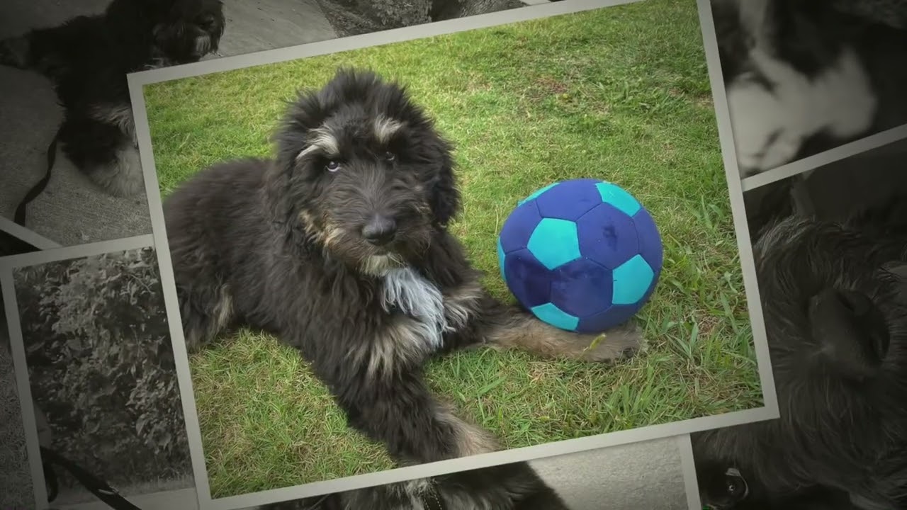 Radar's 1st six months.