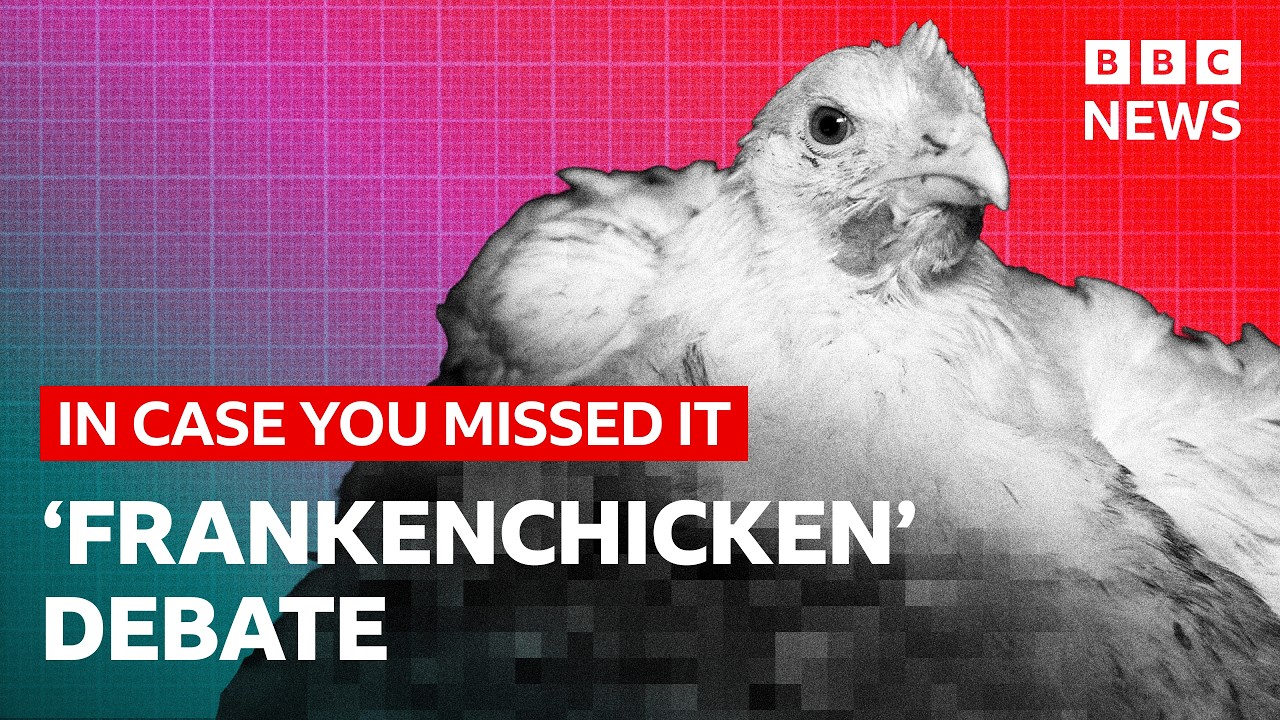 Have you eaten a 'Frankenchicken'? | In Case You Missed It