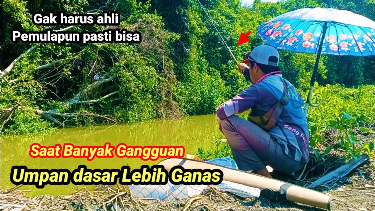 Ternyata mudah‼️ mancing mujair liar dan  belanak umpan dasaran lebih ampuh