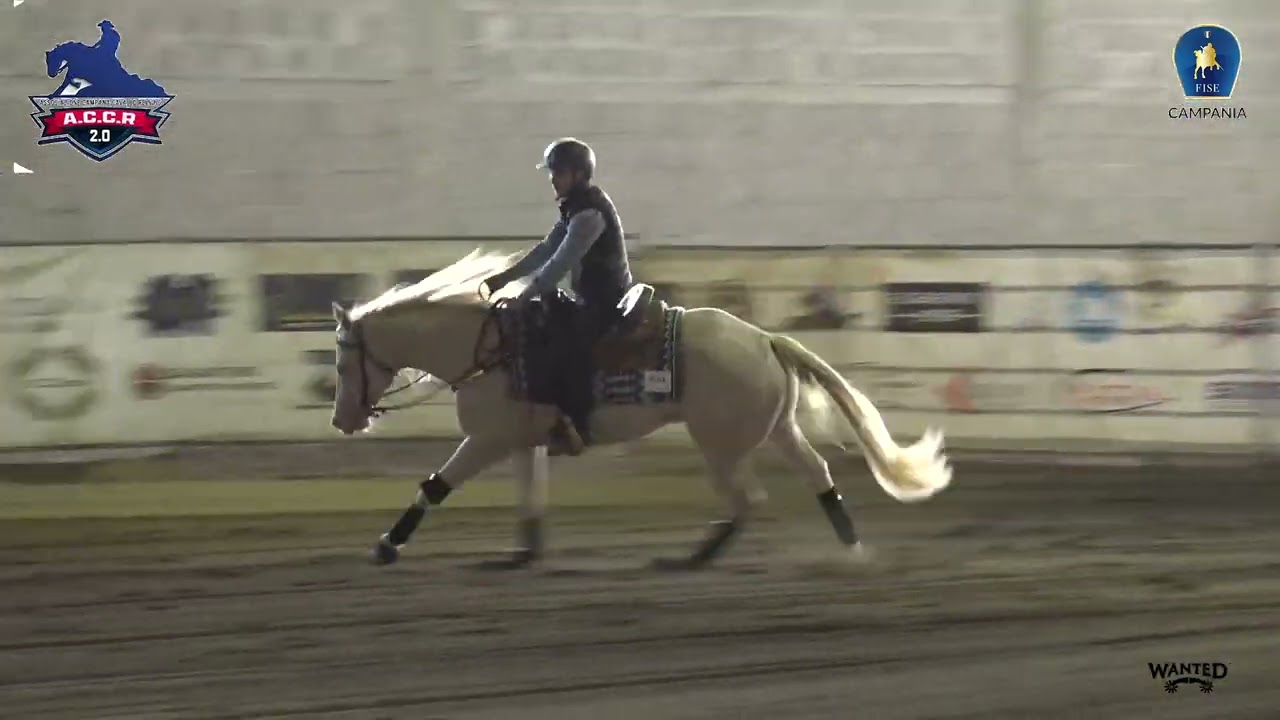 4 show ACCR 2025 - MIGLIORELLI MANUEL & POLIFEMO STEP score 69,5