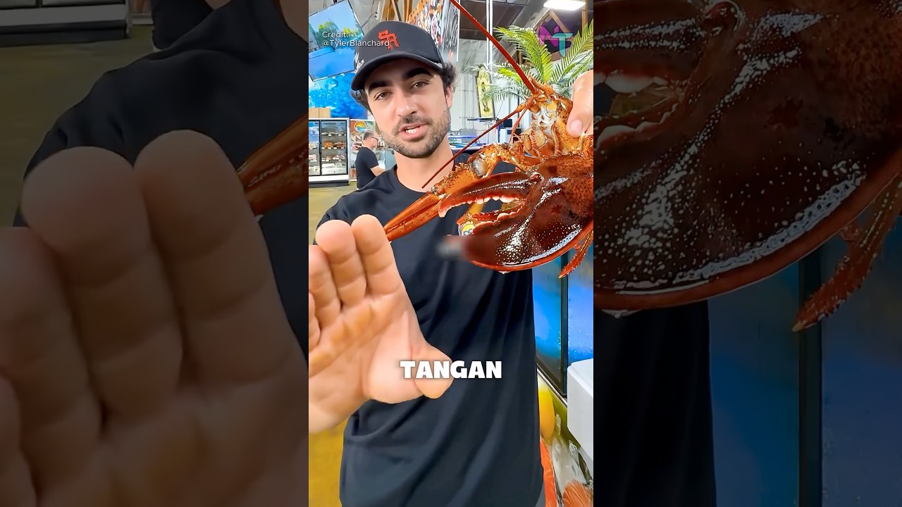 Bisakah Capit Lobster Memotong Jari Manusia?
