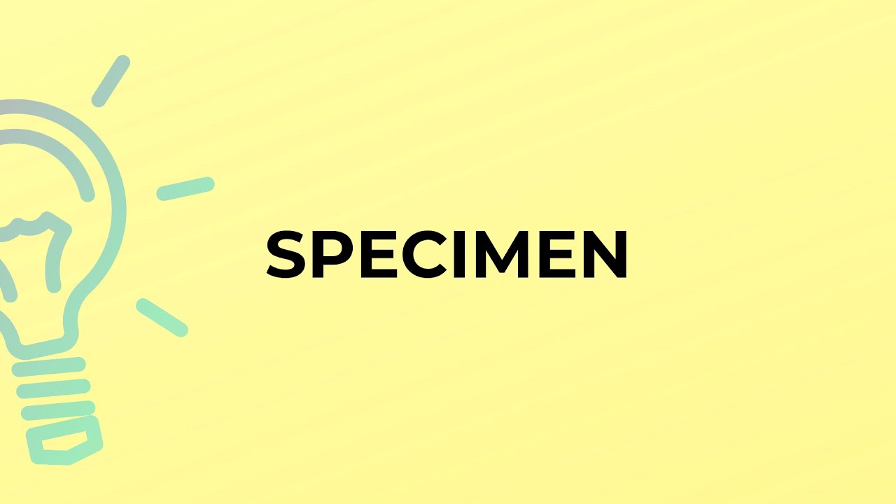 What is the meaning of the word SPECIMEN?