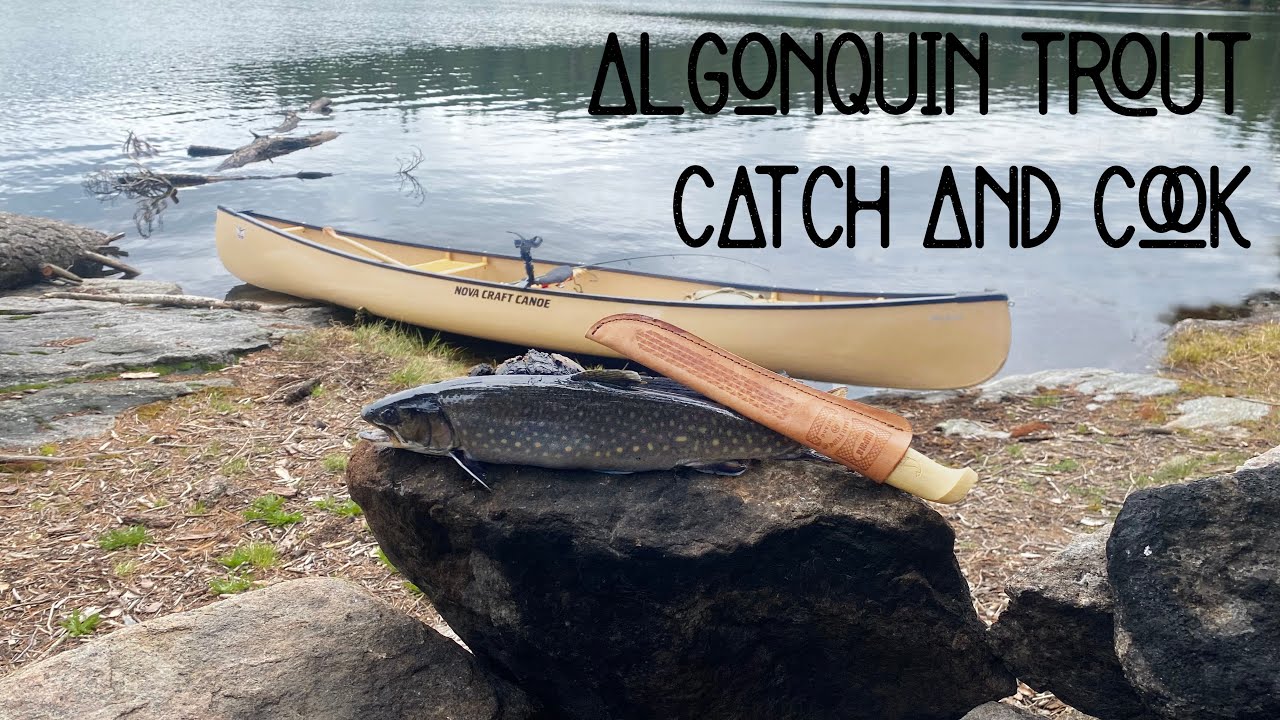 Algonquin Backcountry │ Spring │ Trout Catch and Cook