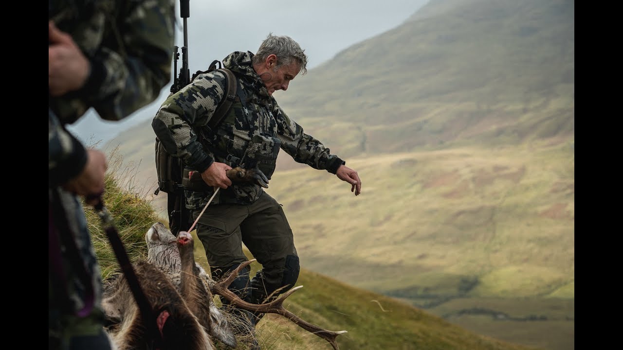 MOUNTAIN STAGS | KNOYDART | BRITAIN'S LAST TRUE WILDERNESS