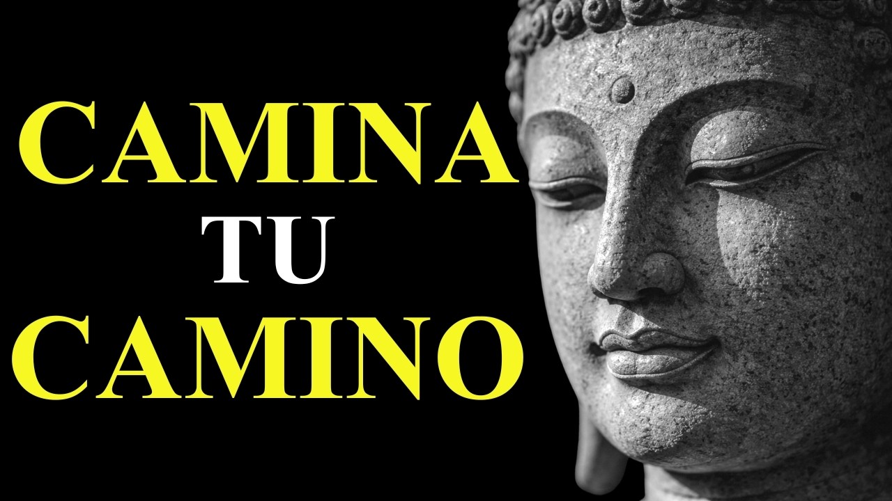 (SIN ANUNCIOS) “No Todos Entenderán Tu Camino” | Perspectiva Budista