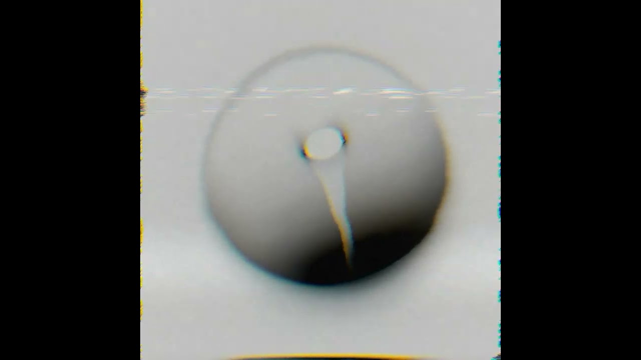 Morphing Grid - rosemarY.