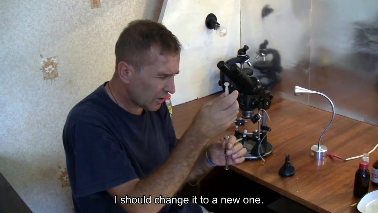 video lesson on instrumental insemination of bee queens