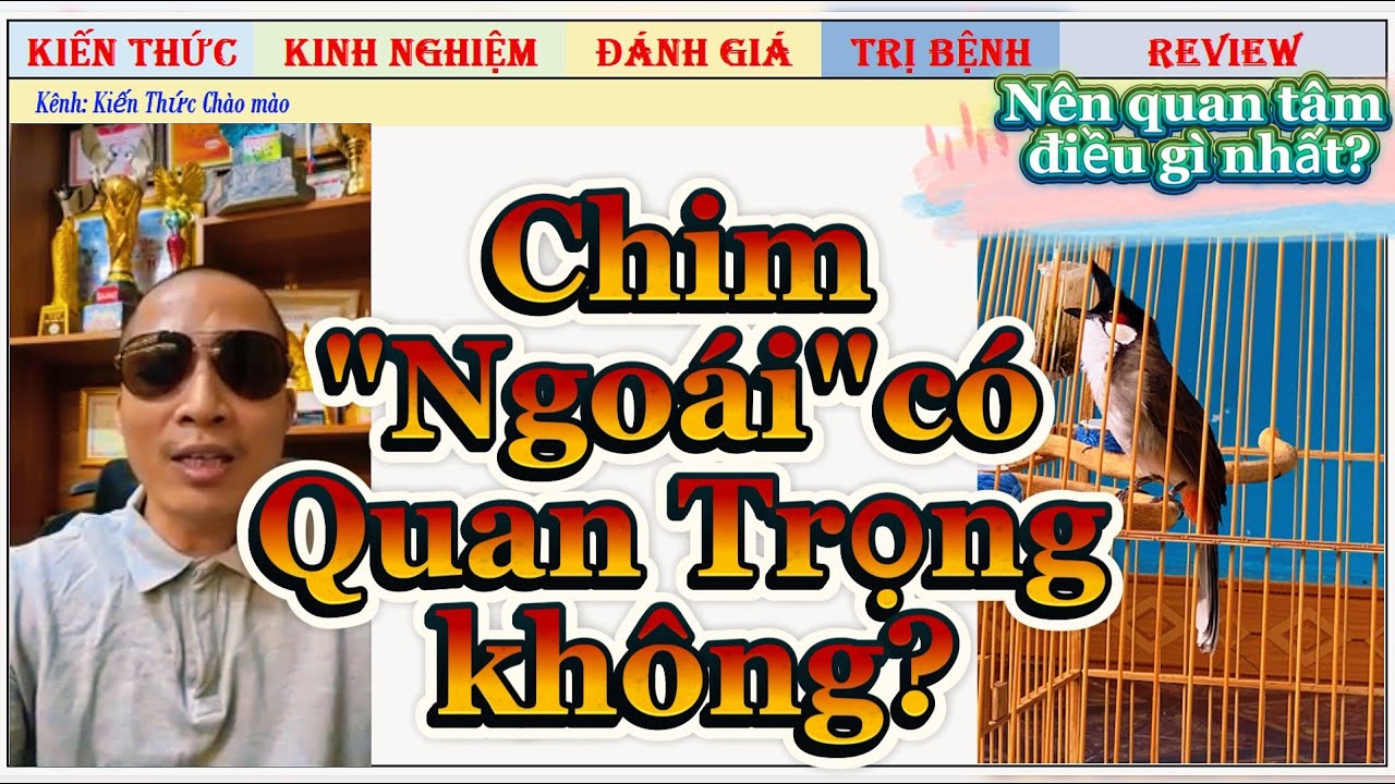 Chim bị Ngoái không cần quan tâm, vậy quan tâm điều gì quan trọng nhất?