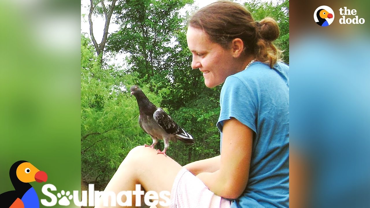 This Pigeon Made Her Mom's Life Complete | The Dodo Soulmates