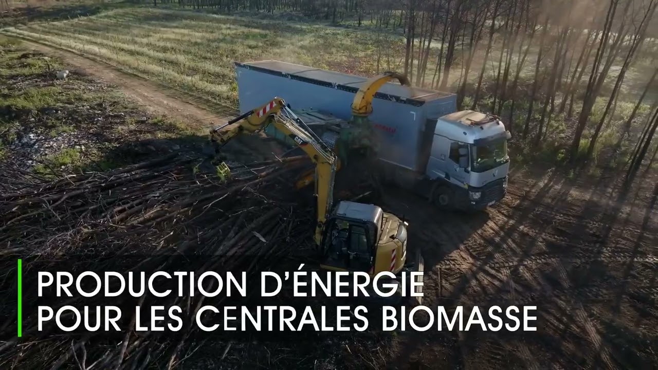 FTenvironnementDeboisement