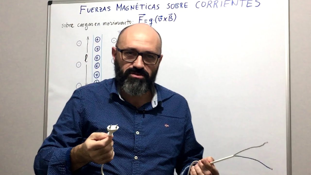 Física 5.04 Fuerzas magnéticas sobre corrientes eléctricas. Fuerza sobre una espira. Motor eléctrico