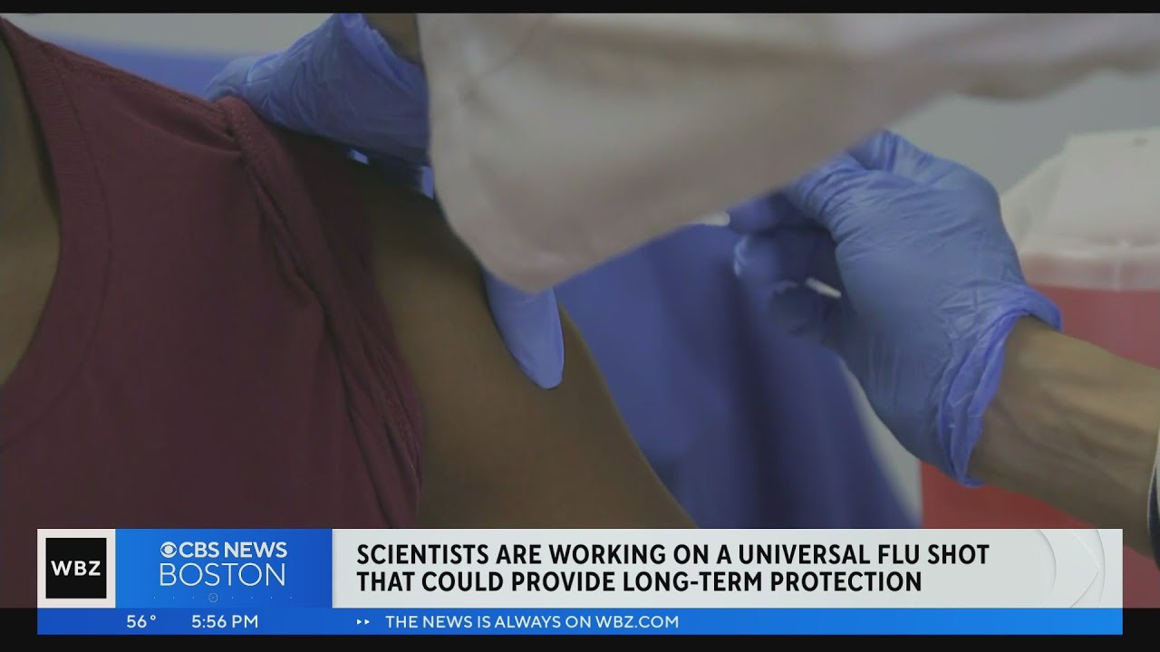 Scientists working on 'universal' flu vaccine that could last years