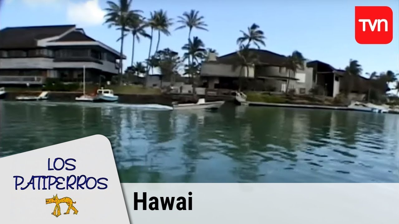 Hawai: Detrás de la postal | Los Patiperros - T2E9 | Buenos días a todos
