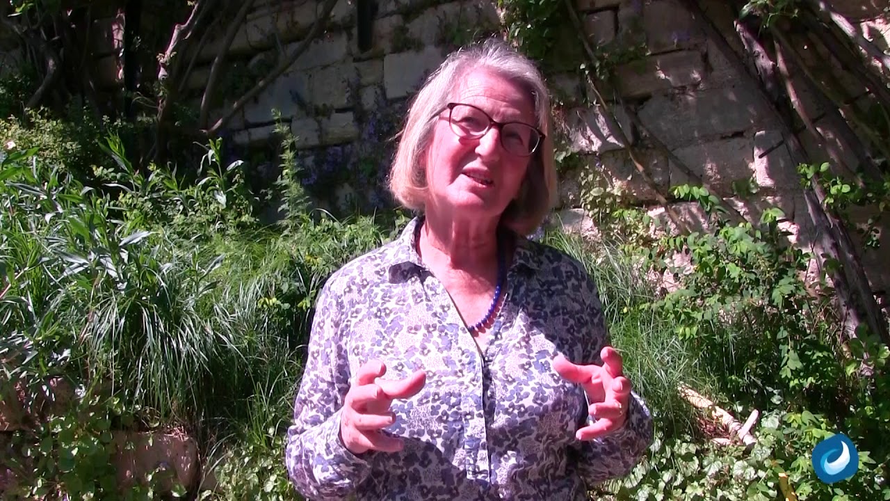 Que nous apprend la végétation sur l'évolution du climat ?