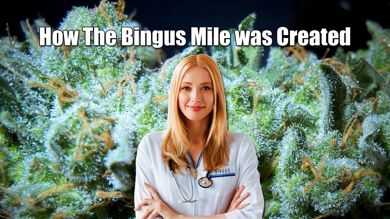 How The Bingus Mile was Created