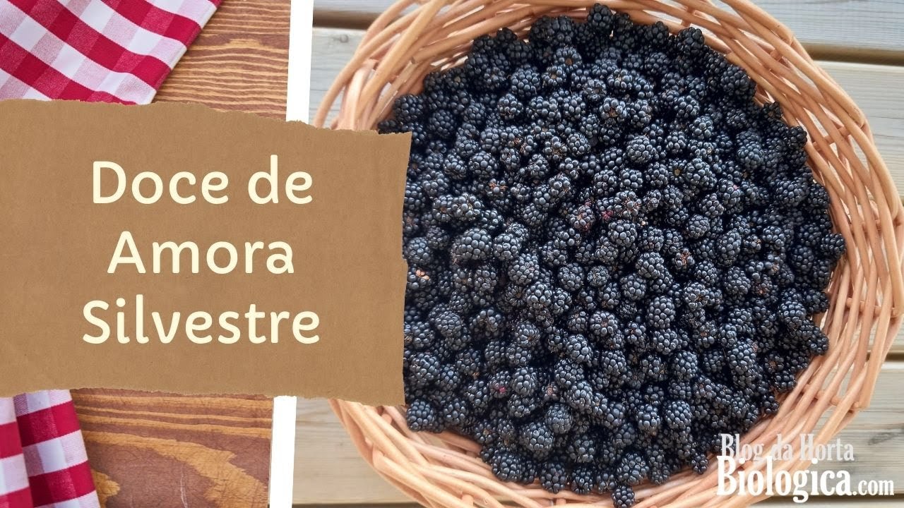 Doce de Amora Silvestre - Compota Caseira e Super Deliciosa