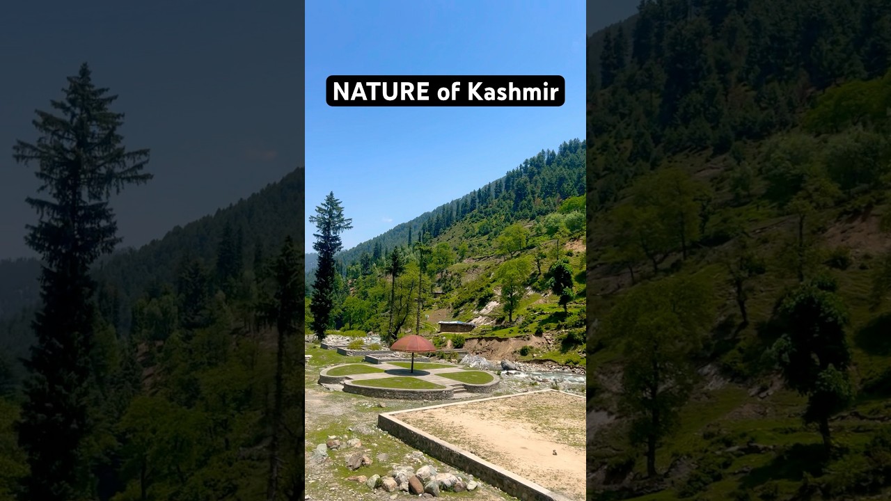 #natureofkashmir #nature #travel #newshorts #viralshorts #entertainment #mountains #videos #videosta