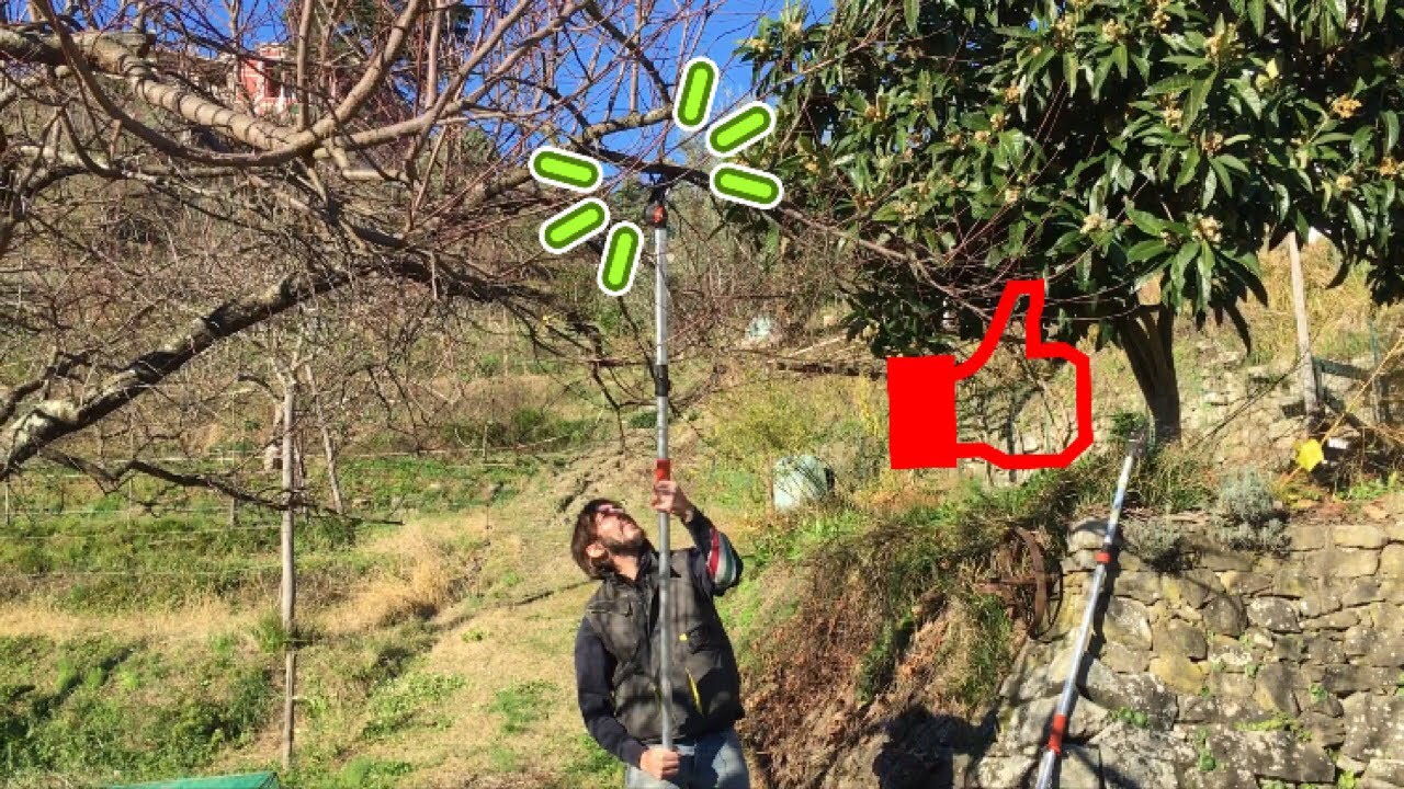 Quale forbice telescopica comprare???