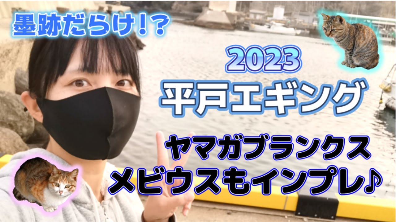 2023平戸で春イカはじめ！？【猫が可愛いだけ】