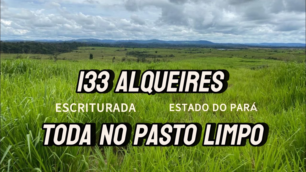 Essa tá boa de preço hein 😱😳❓133 alqueires todo no pasto! Em Goianésia pá.