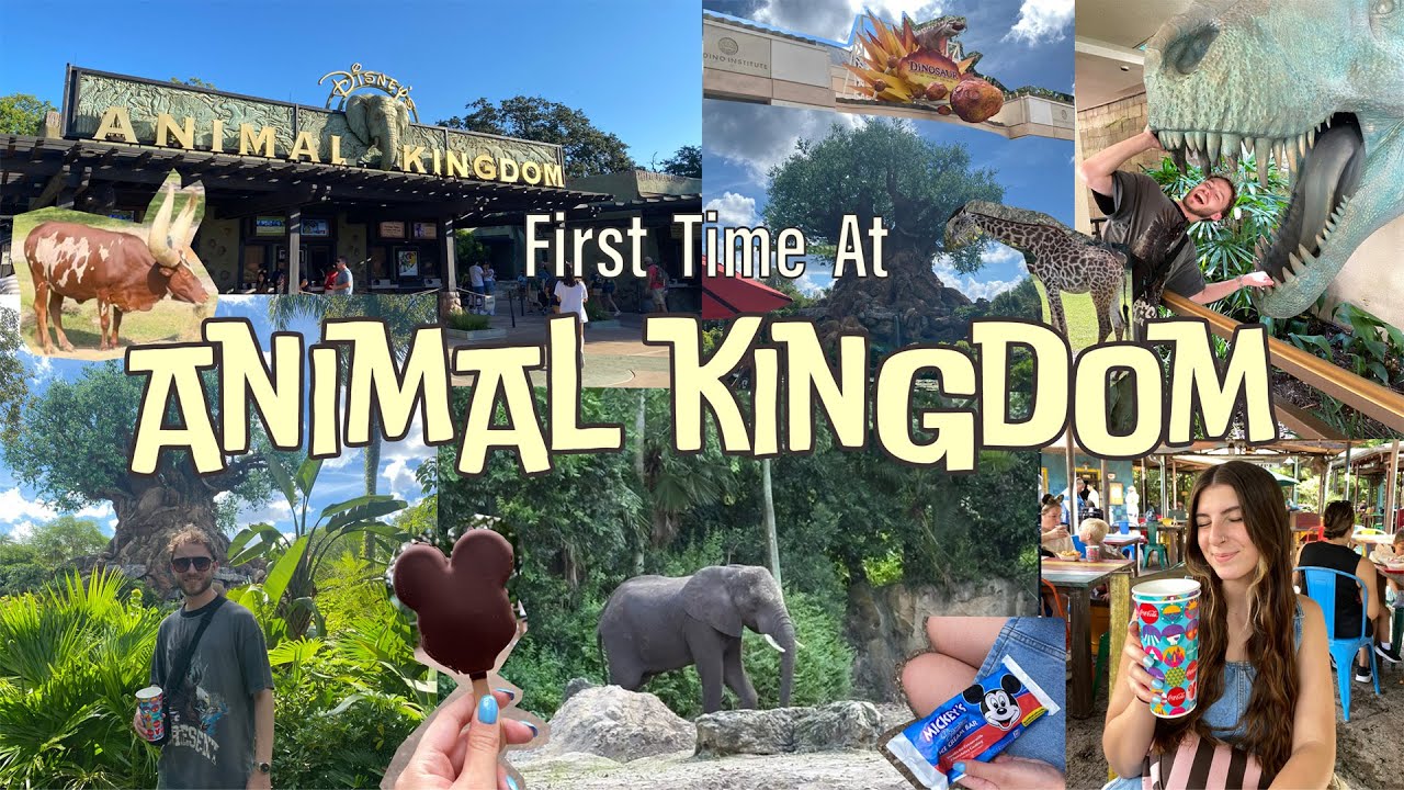 British Couple’s First Time at Disney's Animal Kingdom! | Florida Vlog Day 2