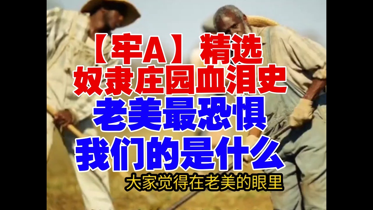 【牢A】精选：奴隶庄园血泪史！老美最恐惧我们的是什么吗？为什么老美对我们这么愤怒？