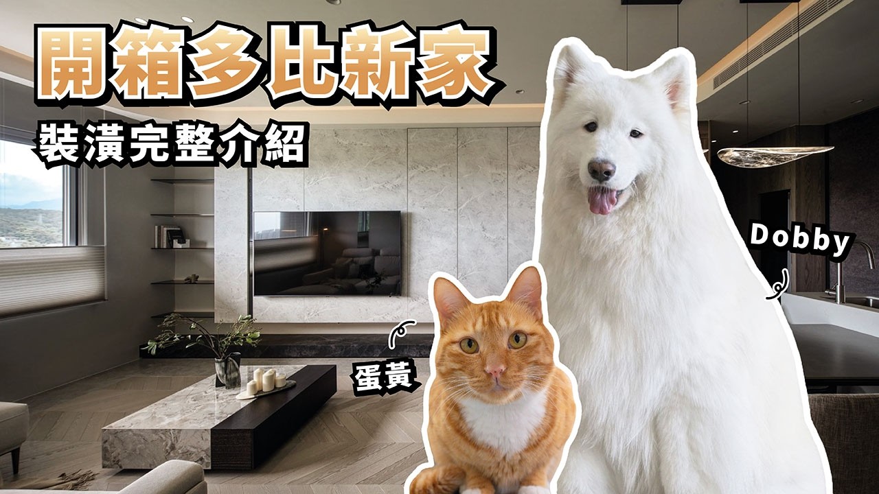 『開箱多比新家！』裝潢完整介紹，兩人一狗一貓的House Tour(薩摩耶多比Dobby is free)