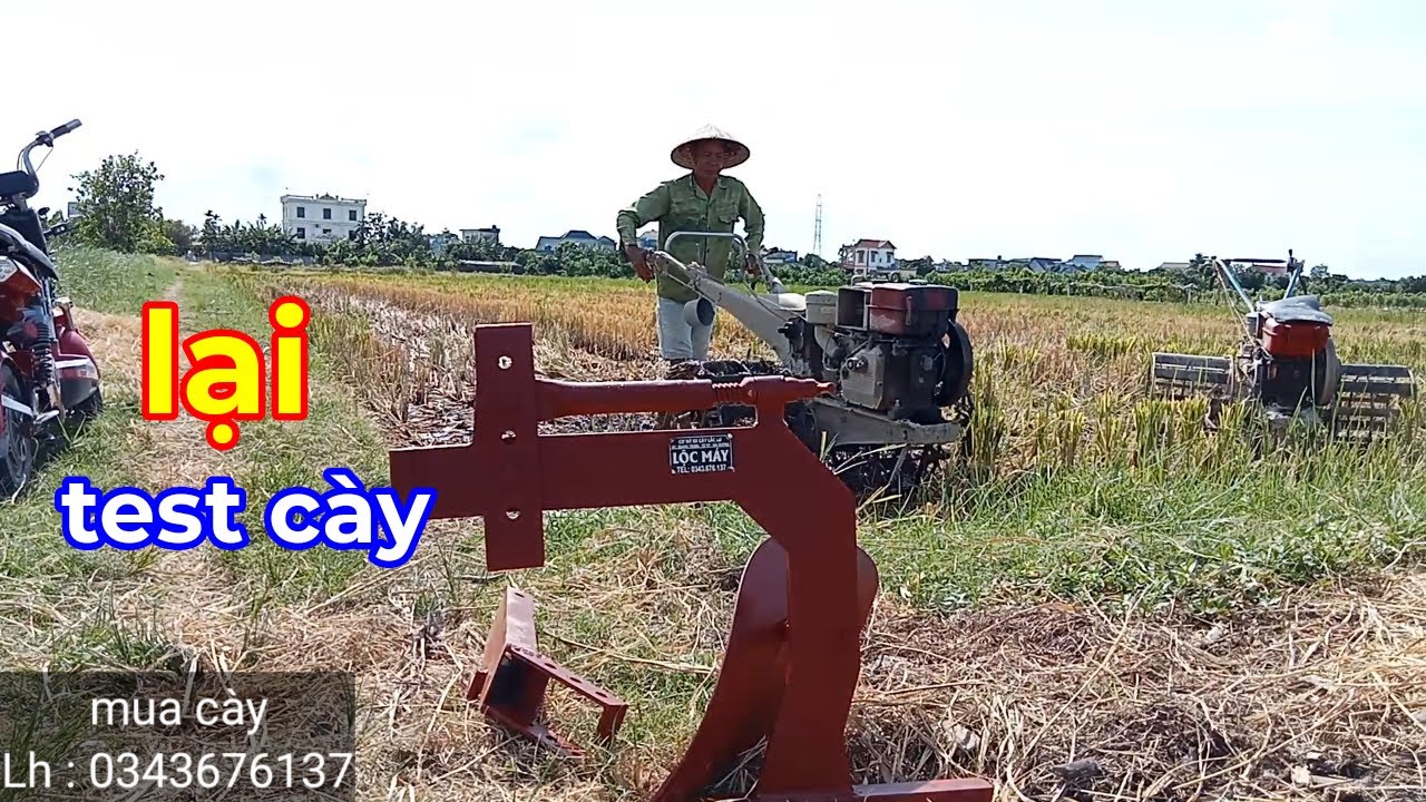 Mang cày và test cày ở đông Hưng - thái Bình.
