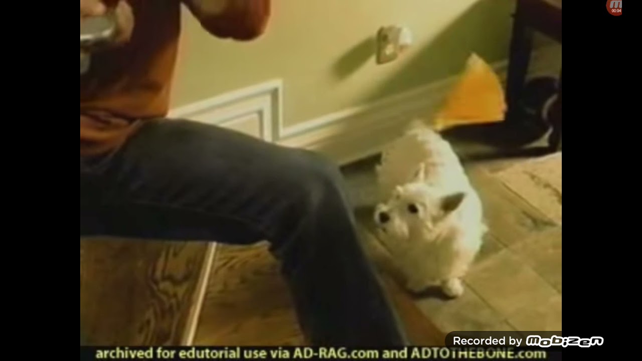 Glade Plug - Ins Scented Oil Fan 2005 Commercial Dog