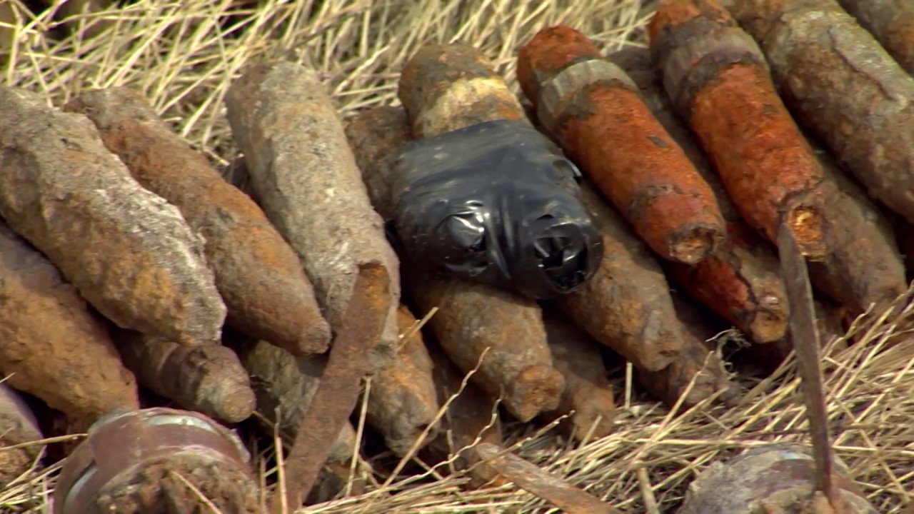 Tűzszerészek és hadihajósok – 2016.