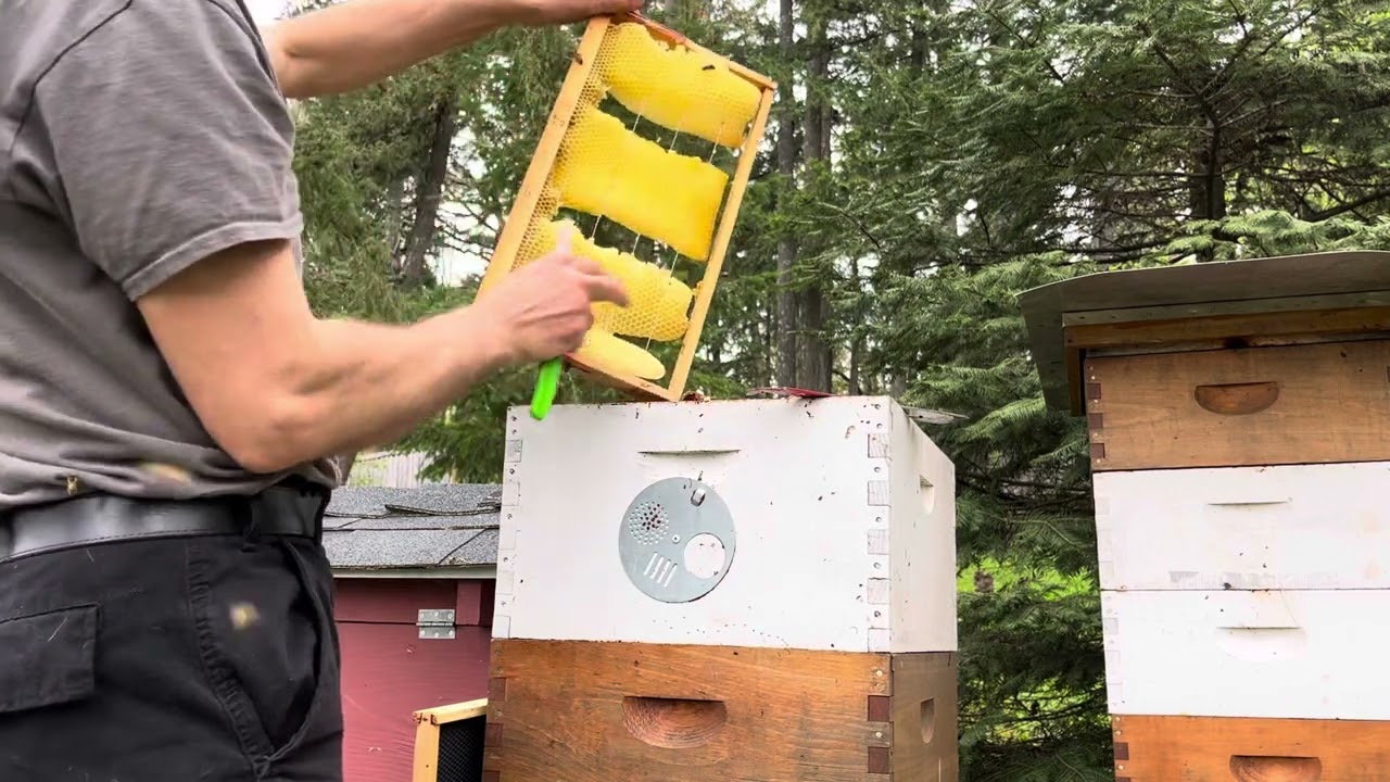 Fixing cross comb
