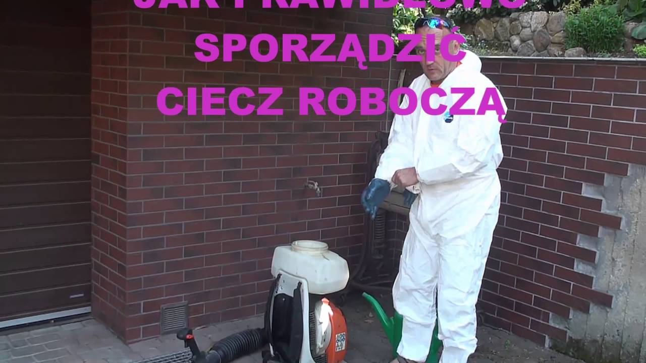 Rdza gruszy na jałowcu - rozpoznanie, przygotowanie oprysku.