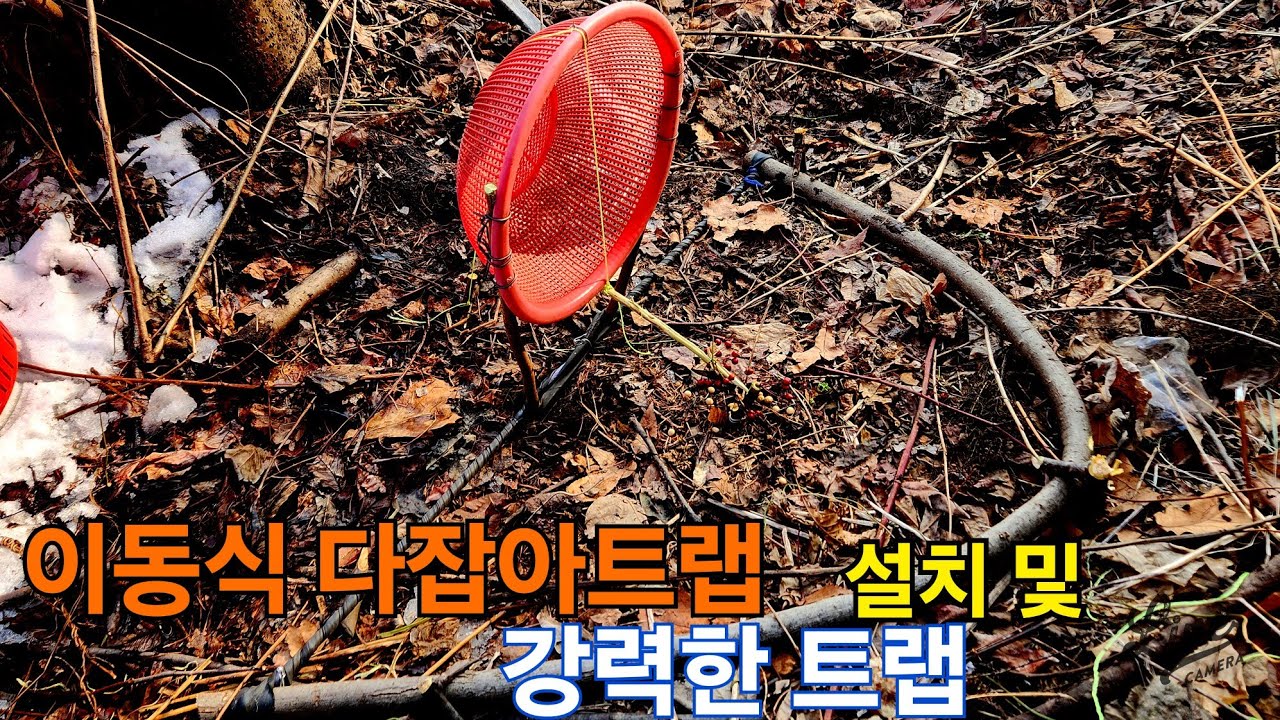꿩 트랩만들기 꿩 잡는 트랩 설치방법 꿩 포획 트랩 사용법